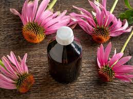 Product: Echinacea (Echinacea purpurea)